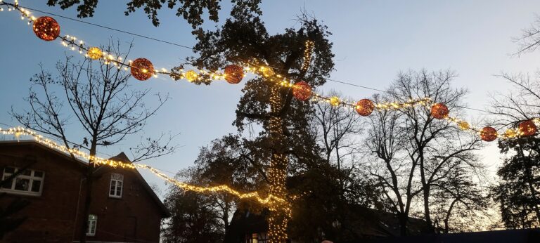 Aktuelles 6 weihnachtsmarkt 2022