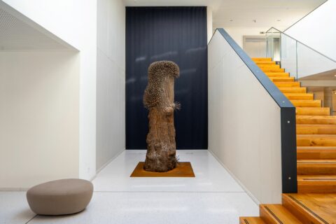 kunstwerk von guenther uecker