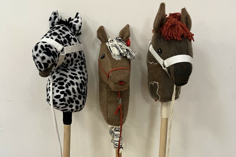 Presse 5 hobby horsing 1